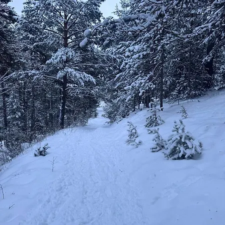 Cal Recons La Molina (Girona)